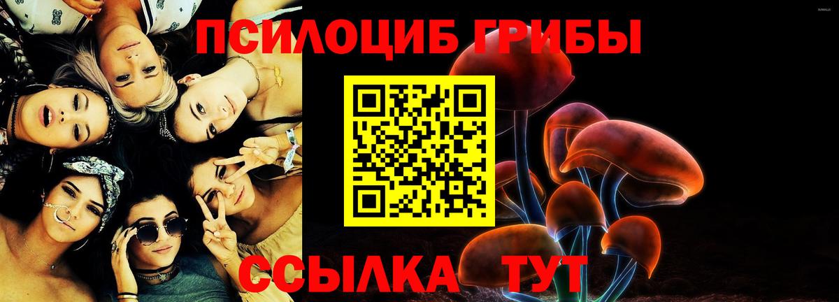 Ульяновск  Псилоцибиновые грибы Psilocybe  Вход с VPN 