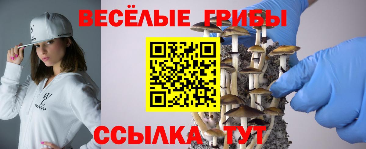 Галлюциногенные грибы ЛСД Ульяновск